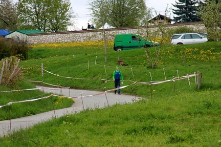 IMG 0867 mini