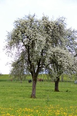 IMG 0869 mini